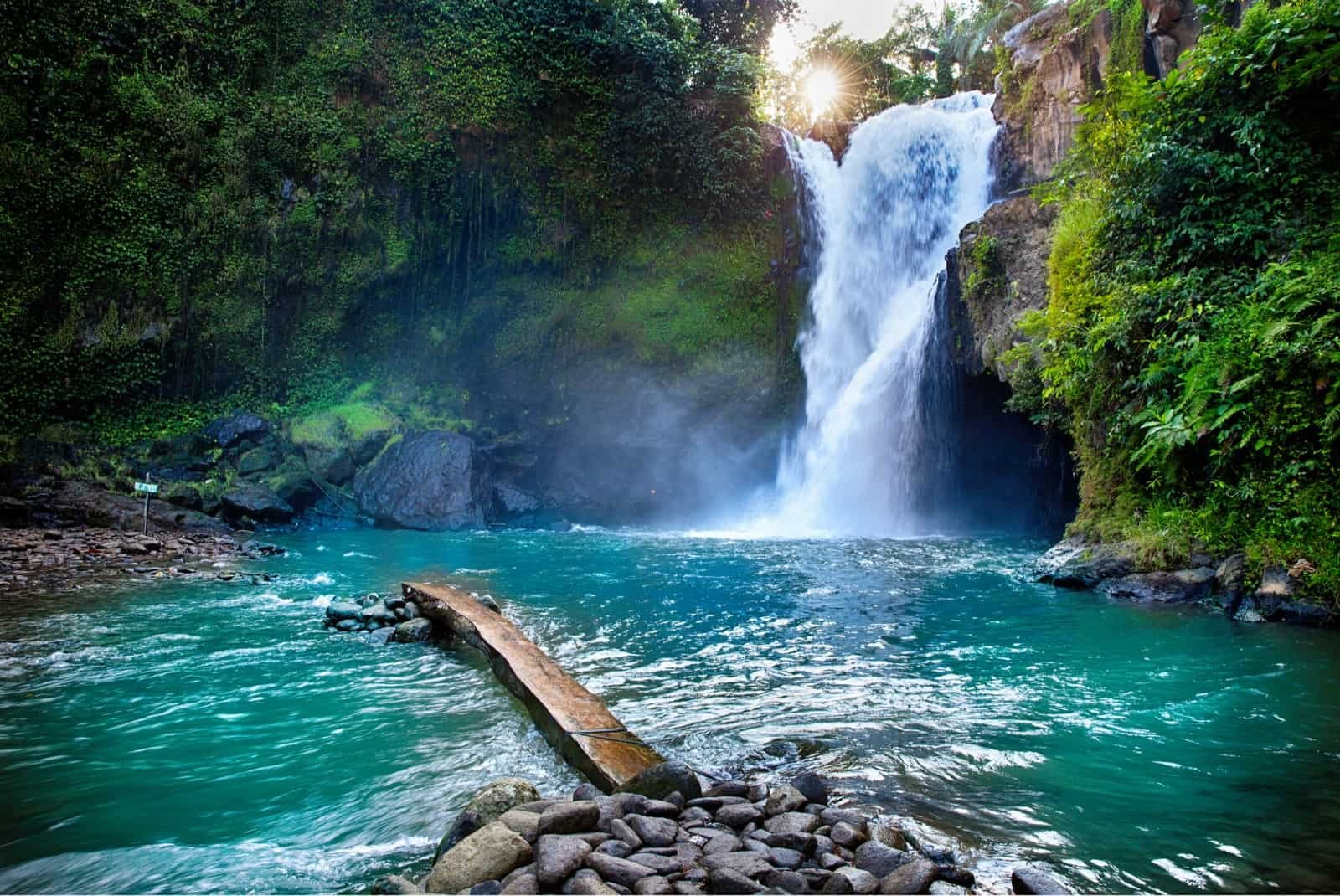 5 Incredible Things To Do In Ubud, Bali